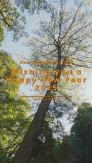 【A Happy New Year！ 2025】

明けましておめでとうございます。

今年は森に向き合うことからスタートします。
絶滅危惧種の屋久種子五葉松。
枯れてしまった１本の木。
そのストーリーの最後に絡まり、
森の営みにデザインを施し発信していきます。

今年も皆様と一緒に
夢に一歩近づける１年になりますように。

Happy 2025!

This year we start by addressing the theme of the forest.
In particular the Yakutanegoyo type, which is on the verge of extinction.
We are involved in the end of the life cycle of a single withered tree, applying design to the functioning of the forest and spreading its characteristics.

We hope that this year will be another year in which we will get one step closer to our dreams, together with everyone.

----------

#atelierlamp
#tanegashima
#種子島

風景と建築と
身の回りの小さな出来事を
デザインし記録しています。

Designing and filming landscape,
Architecture, and small events around us.

----------

島の職人が手がけた家具や器など
@atelierlamp.jp
の URL にある「Online Shop」「Shop & Gallery」でご購入いただけます。

#島の風景 #西之表 #デザイン